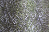 Derbyshire fibreglass roof work